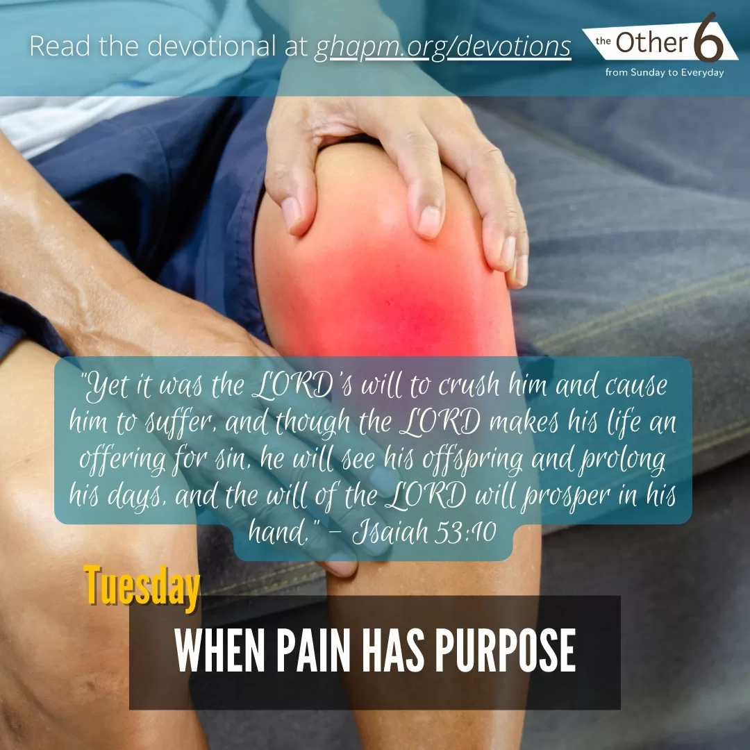 May 6: Tuesday: When Pain Has Purpose 🌱⚒️