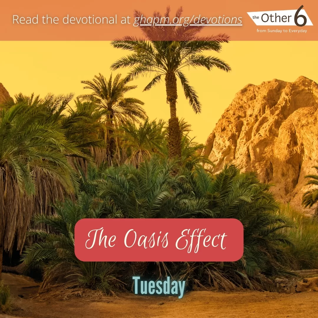 June 3: Tuesday: “The Oasis Effect 🌴💧”